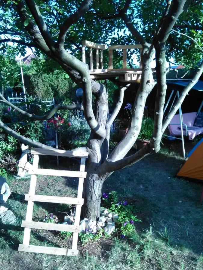 Apartmani Nado Majica Sveti Filip i Jakov Exterior photo
